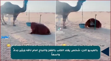 بالفيديو الآن: شخص يقلد الكلب بالقفز والنباح أمام ناقة ويثير جدلاً واسعاً